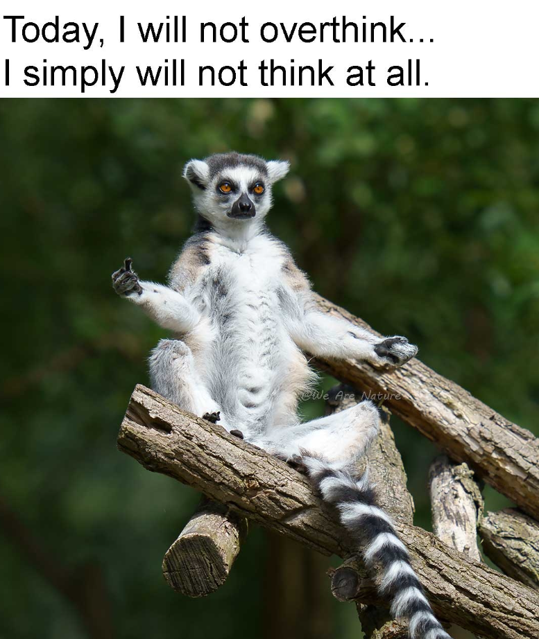 When overthinking gets so exhausting that you decide to completely shut down your brain — Korean meme