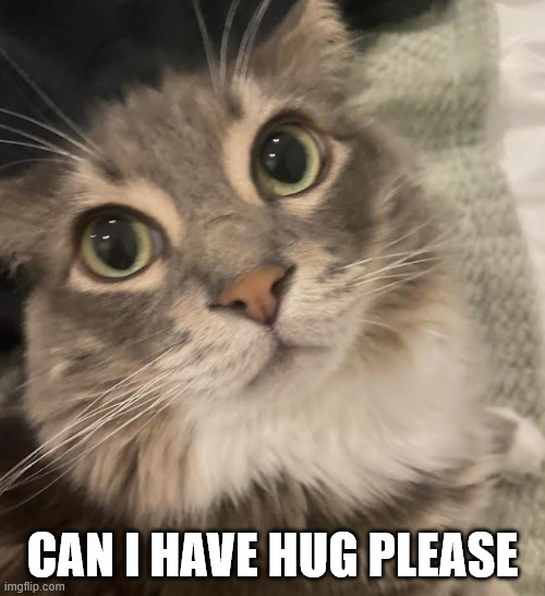 Asking for a Hug  — Korean meme