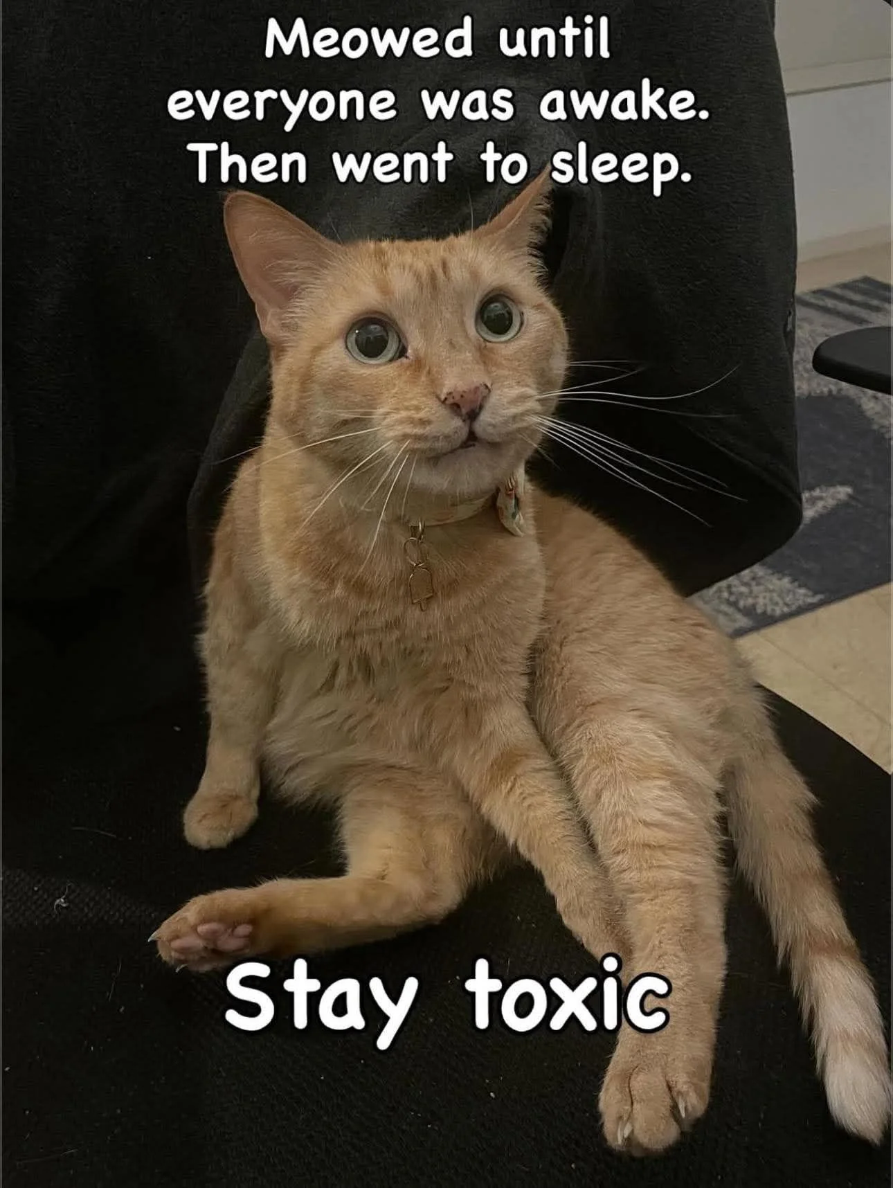 Sleeps like an angel... — Korean meme