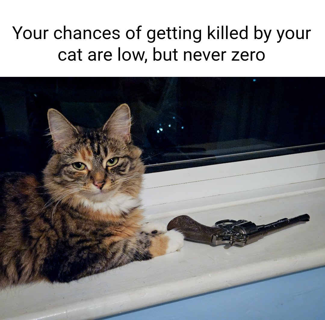 A Cat's Deadly Plot — Korean meme